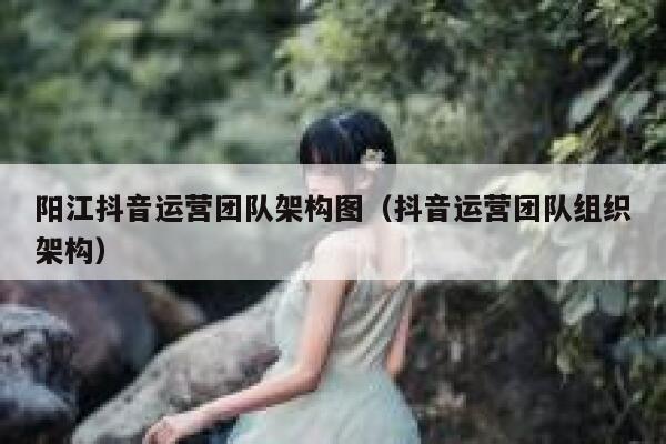 阳江抖音运营团队架构图（抖音运营团队组织架构）