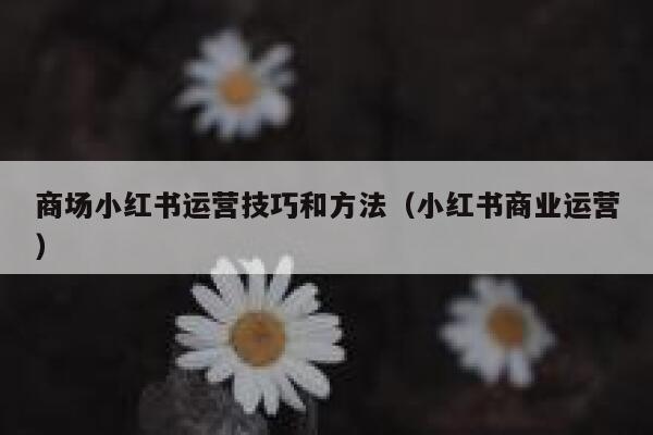 商场小红书运营技巧和方法（小红书商业运营）