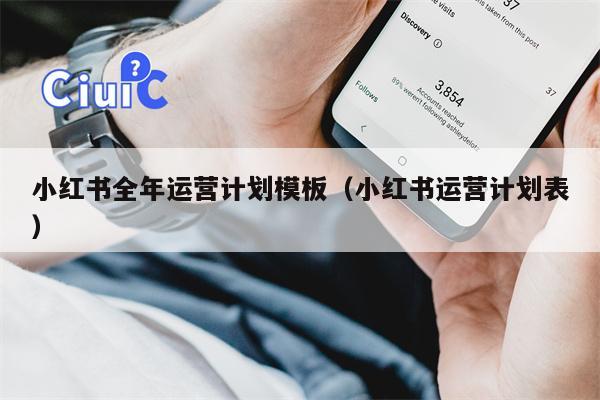 小红书全年运营计划模板（小红书运营计划表）