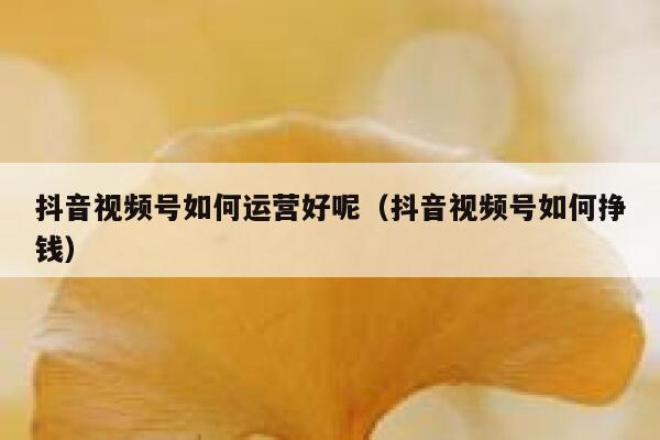 抖音视频号如何运营好呢（抖音视频号如何挣钱）