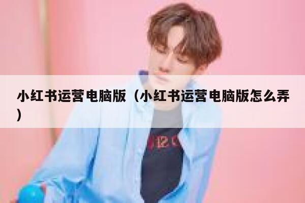 小红书运营电脑版（小红书运营电脑版怎么弄）