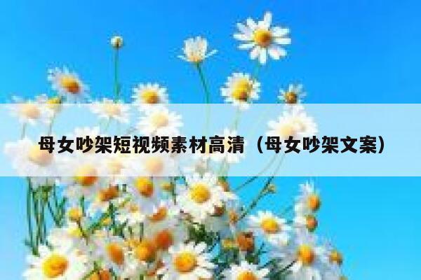 母女吵架短视频素材高清（母女吵架文案）
