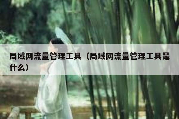局域网流量管理工具（局域网流量管理工具是什么）