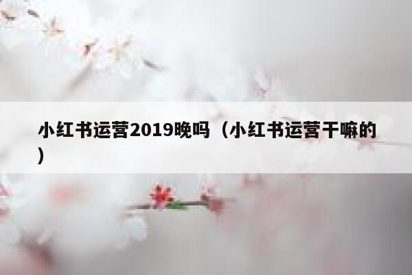 小红书运营2019晚吗（小红书运营干嘛的）