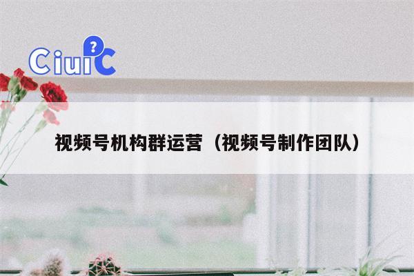 视频号机构群运营（视频号制作团队）