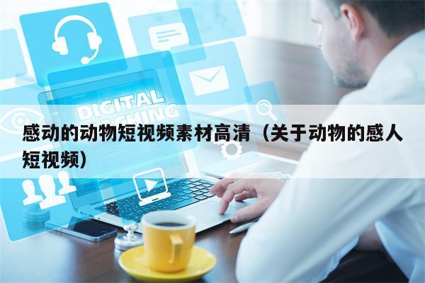 感动的动物短视频素材高清（关于动物的感人短视频）