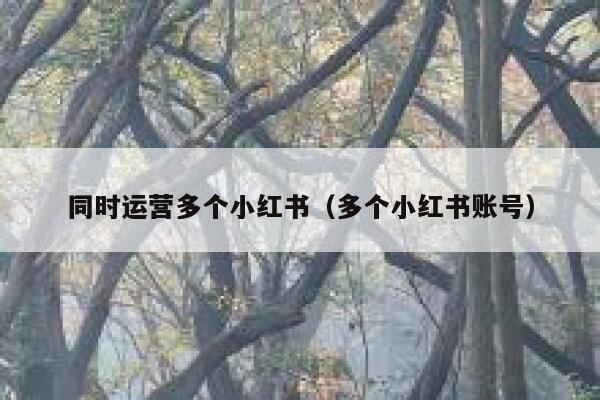 同时运营多个小红书（多个小红书账号）