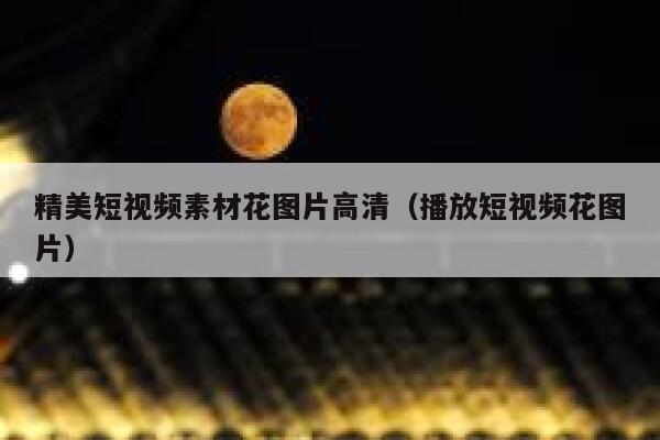 精美短视频素材花图片高清（播放短视频花图片）
