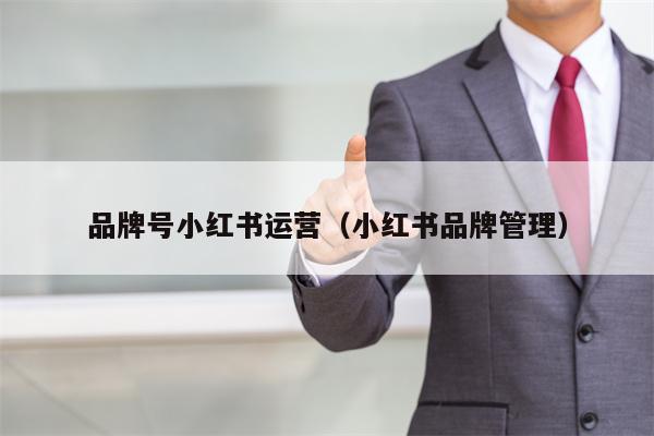 品牌号小红书运营（小红书品牌管理）
