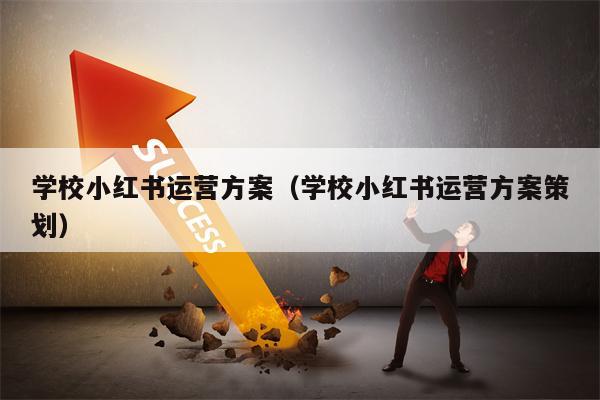 学校小红书运营方案（学校小红书运营方案策划）