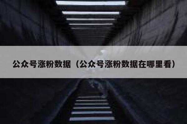 公众号涨粉数据（公众号涨粉数据在哪里看）
