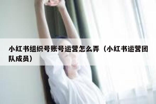 小红书组织号账号运营怎么弄（小红书运营团队成员）