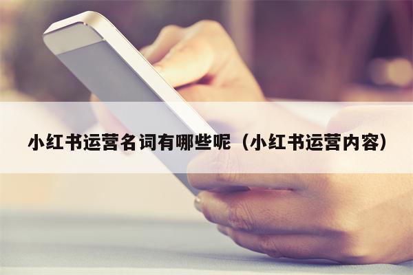 小红书运营名词有哪些呢（小红书运营内容）