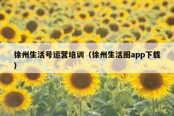 徐州生活号运营培训（徐州生活圈app下载）