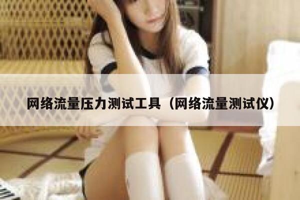 网络流量压力测试工具（网络流量测试仪）