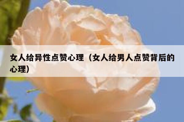 女人给异性点赞心理（女人给男人点赞背后的心理）