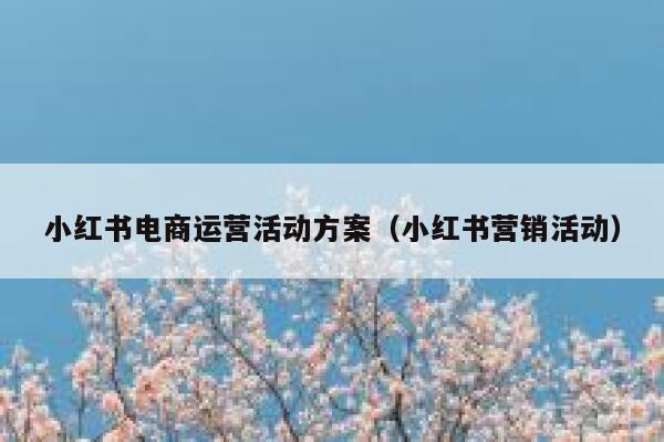 小红书电商运营活动方案（小红书营销活动）
