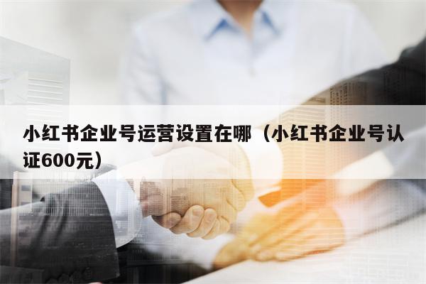 小红书企业号运营设置在哪（小红书企业号认证600元）