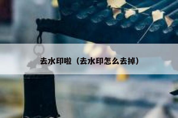 去水印啦（去水印怎么去掉）
