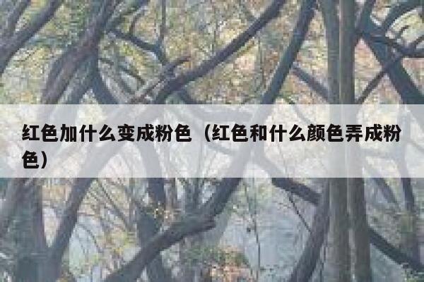 红色加什么变成粉色（红色和什么颜色弄成粉色）
