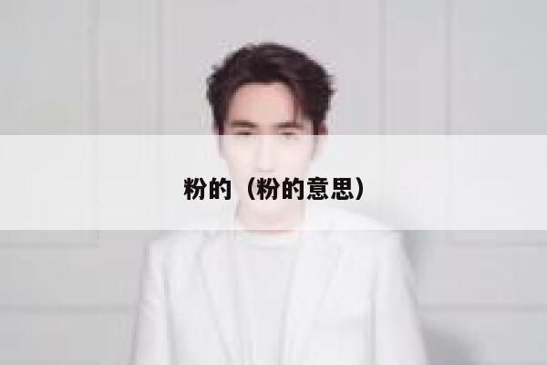 粉的（粉的意思）