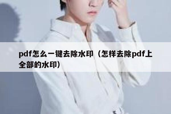 pdf怎么一键去除水印（怎样去除pdf上全部的水印）