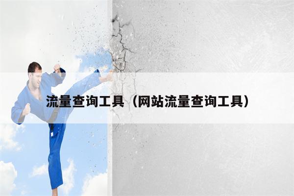 流量查询工具（网站流量查询工具）