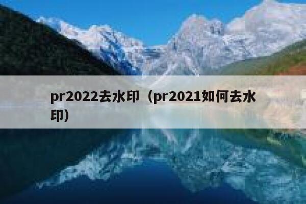 pr2022去水印（pr2021如何去水印）