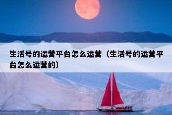 生活号的运营平台怎么运营（生活号的运营平台怎么运营的）