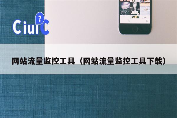 网站流量监控工具（网站流量监控工具下载）