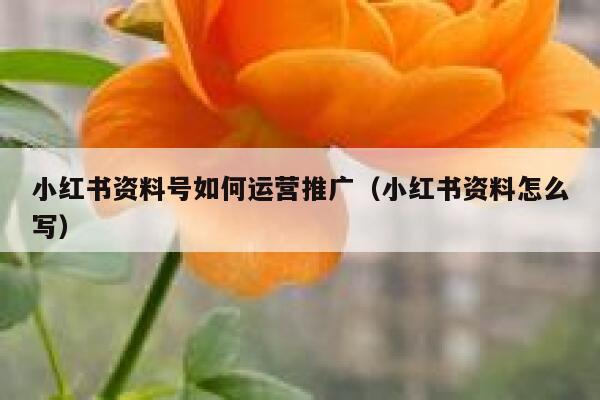 小红书资料号如何运营推广（小红书资料怎么写）