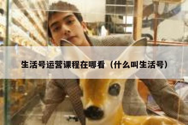 生活号运营课程在哪看（什么叫生活号）