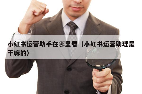 小红书运营助手在哪里看（小红书运营助理是干嘛的）