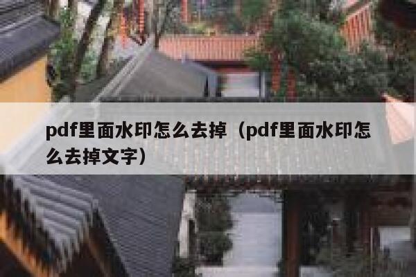 pdf里面水印怎么去掉（pdf里面水印怎么去掉文字）