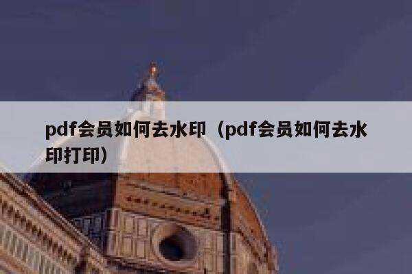 pdf会员如何去水印（pdf会员如何去水印打印）