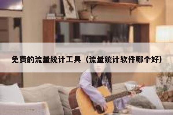 免费的流量统计工具（流量统计软件哪个好）
