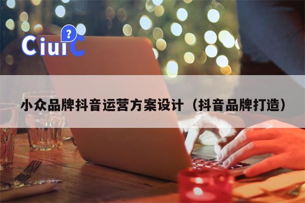 小众品牌抖音运营方案设计（抖音品牌打造）