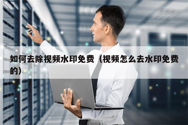 如何去除视频水印免费（视频怎么去水印免费的）