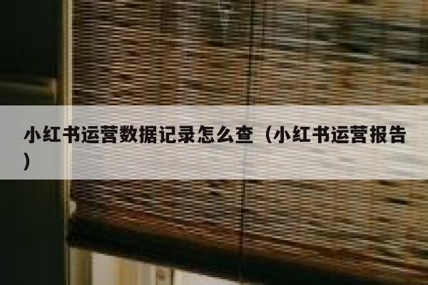 小红书运营数据记录怎么查（小红书运营报告）