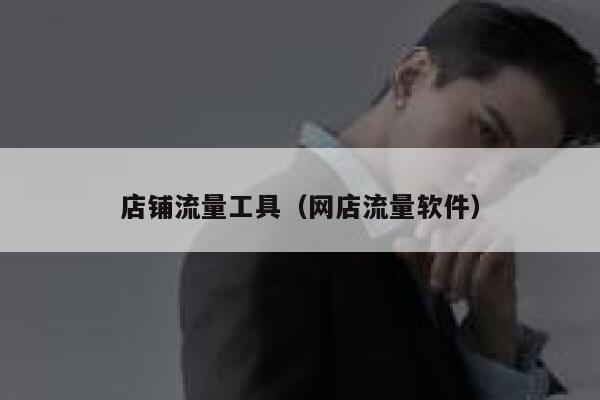 店铺流量工具（网店流量软件）