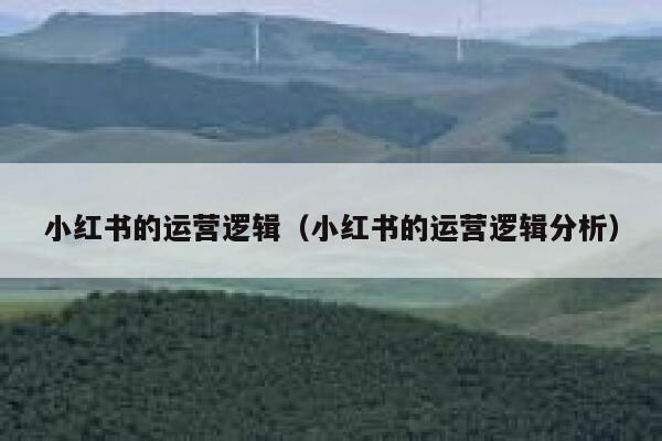 小红书的运营逻辑（小红书的运营逻辑分析）