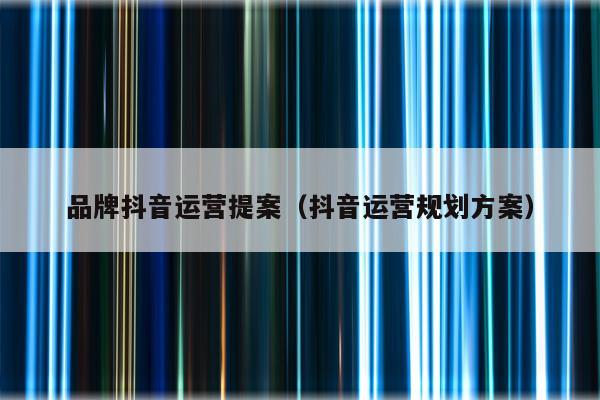 品牌抖音运营提案（抖音运营规划方案）