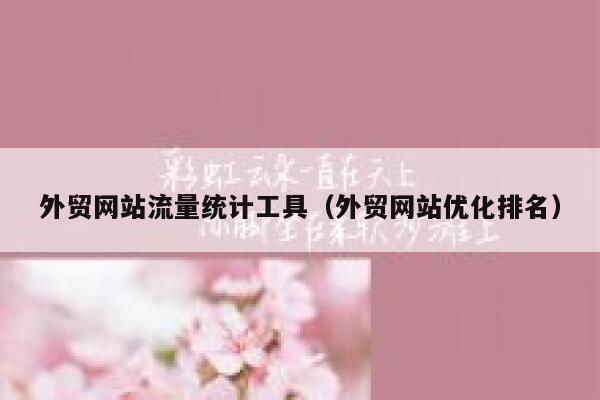外贸网站流量统计工具（外贸网站优化排名）