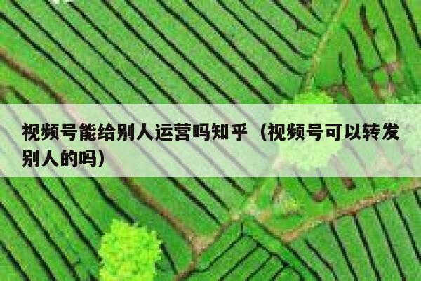 视频号能给别人运营吗知乎（视频号可以转发别人的吗）