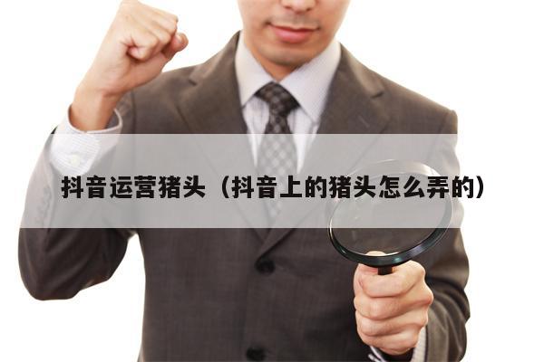 抖音运营猪头（抖音上的猪头怎么弄的）