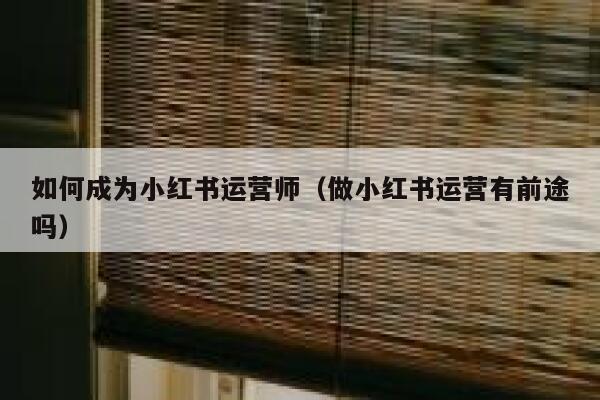 如何成为小红书运营师（做小红书运营有前途吗）