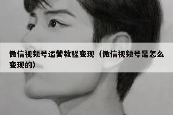 微信视频号运营教程变现（微信视频号是怎么变现的）