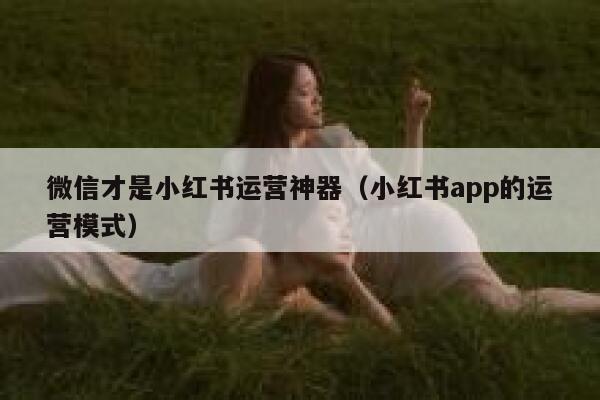微信才是小红书运营神器（小红书app的运营模式）