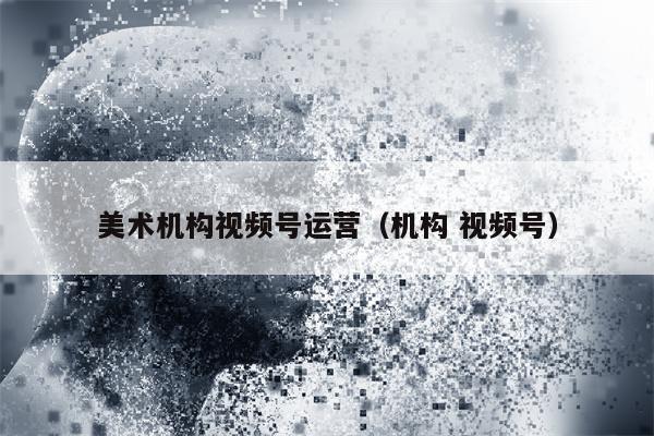 美术机构视频号运营（机构 视频号）