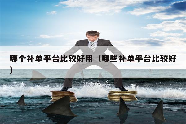 哪个补单平台比较好用（哪些补单平台比较好）